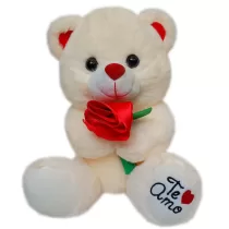 Urso de pelucia 270215