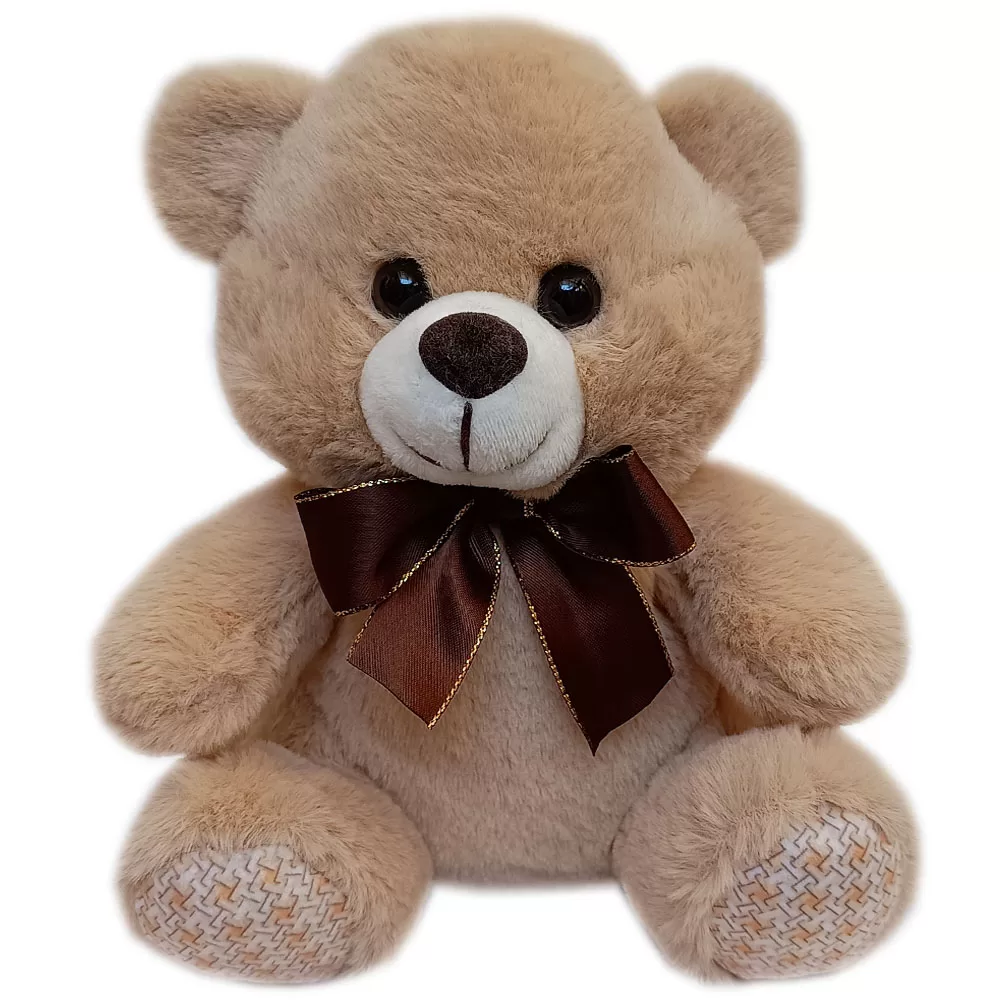 Urso de Pelúcia – 20 cm